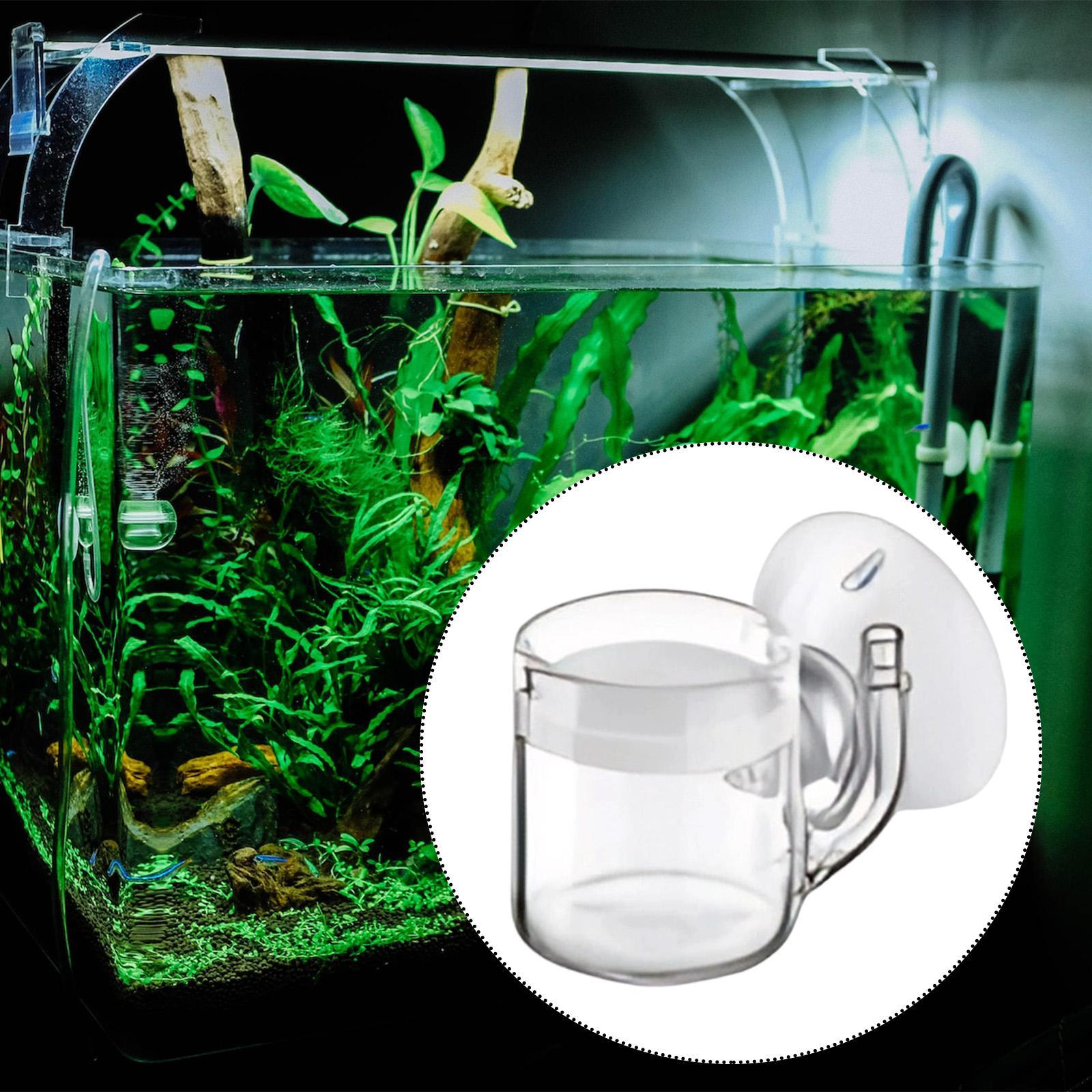 Planted Aquarium Equipment - Aquarium Diffuser Glass CO2 System Kit