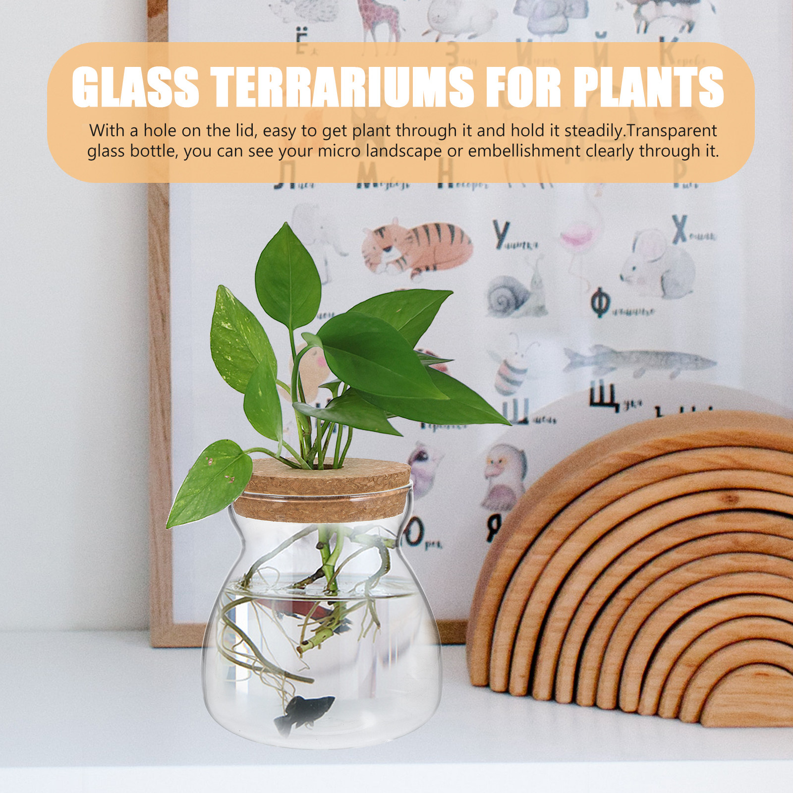 Planted Aquarium Jar - Terrarium Glass Jar Transparent Container for