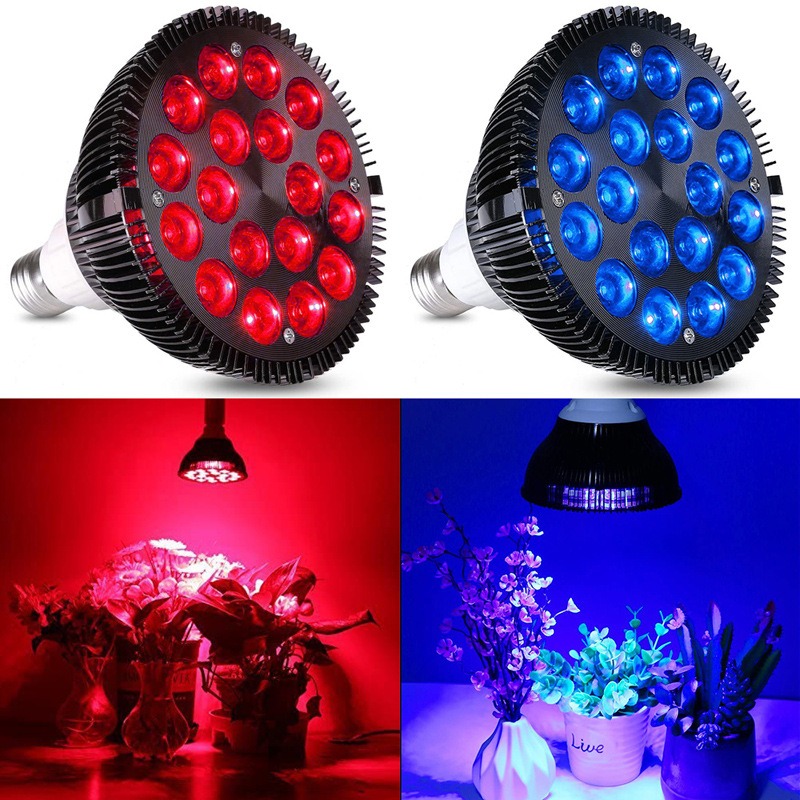 Aquarium Plants For Sale - NEW Hot Sale LED Fish Tank