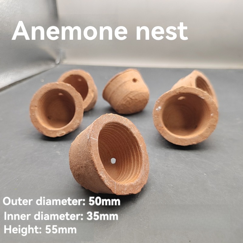 Planted Aquarium Jar - Anemone Nest Run-proof Coral Jar Home
