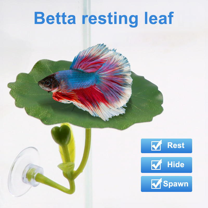 Planted Aquarium Bowl - 1Pc Green Leaf Betta Fish Hammock