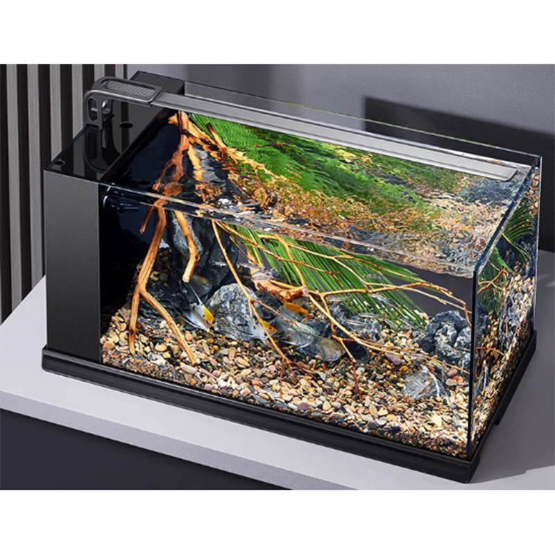 Planted Aquarium Bowl - New Product Wholesale Fish and Turtle