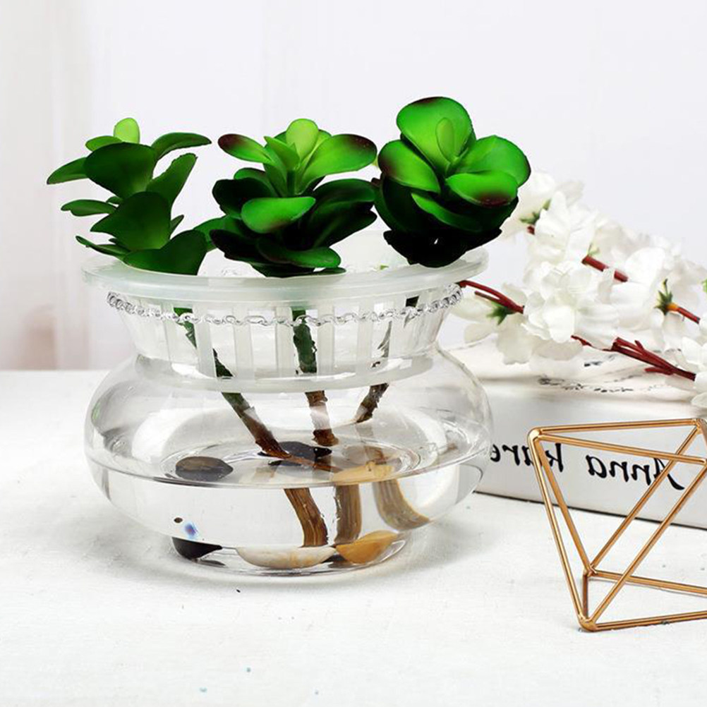 Planted Aquarium Bowl - Premium Transparent Glass Betta Tank Aquarium