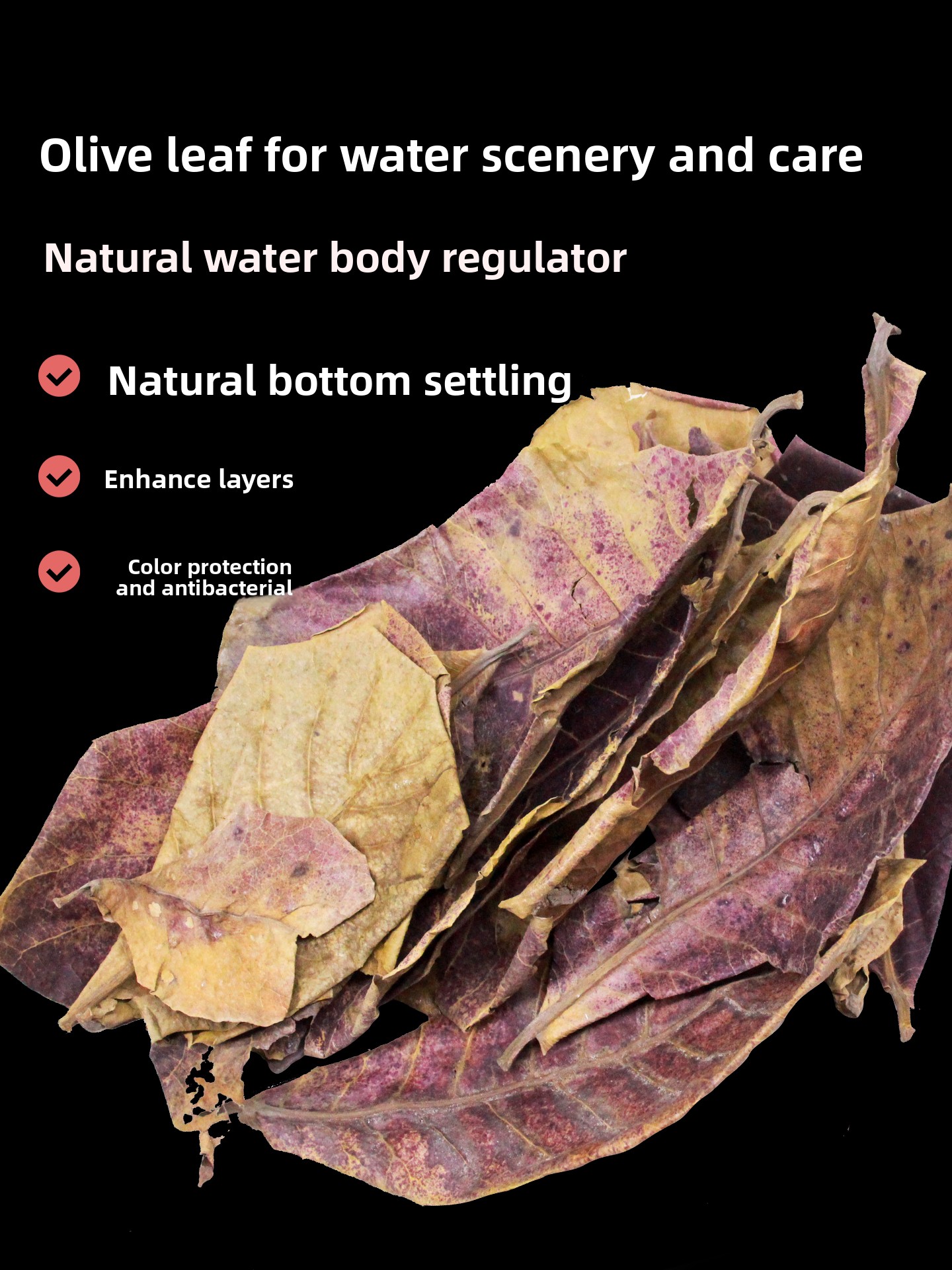 Planted Aquarium Care - l Olive Le Aquarium Decoration Sinkable