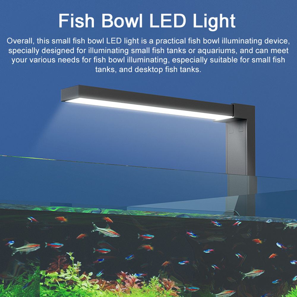 ABS Small Fish Bowl LED Light  - Planted Aquarium Bowl บทวิจารณ์และราคา