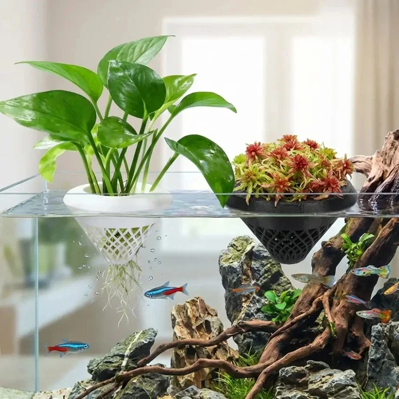 3d Printed Floating Aquarium P - Planted Aquarium Jar บทวิจารณ์และราคา