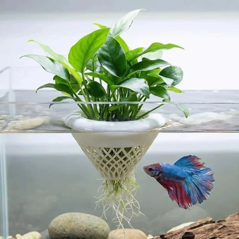 3d Printed Floating Aquarium P - Planted Aquarium Jar บทวิจารณ์และราคา