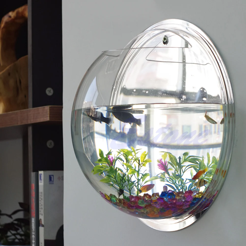 Wall Mounted Acrylic Fish Bowl - Planted Aquarium Bowl บทวิจารณ์และราคา