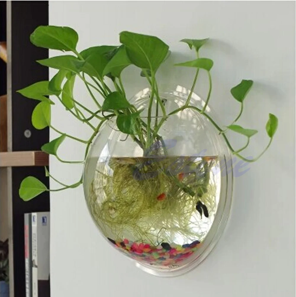 Wall Mounted Acrylic Fish Bowl - Planted Aquarium Bowl บทวิจารณ์และราคา