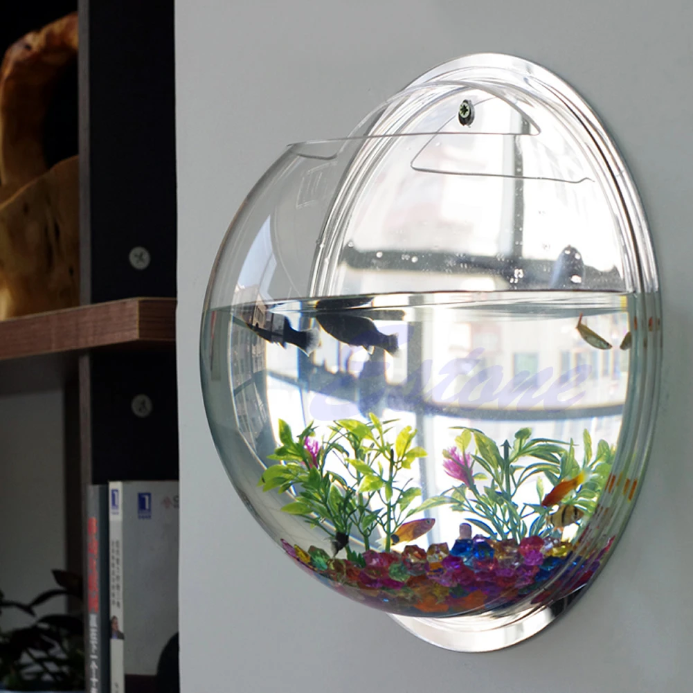 Wall Mounted Acrylic Fish Bowl - Planted Aquarium Bowl บทวิจารณ์และราคา
