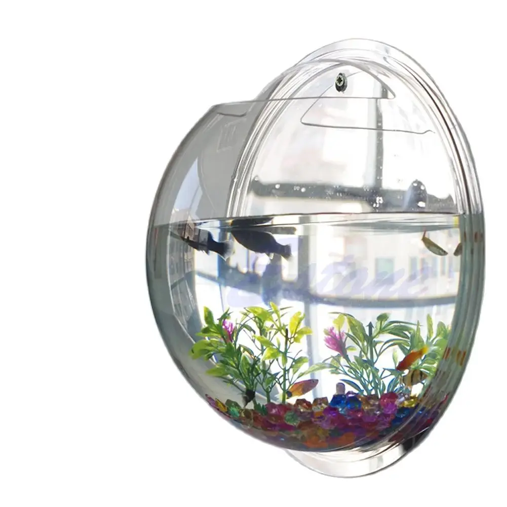 Wall Mounted Acrylic Fish Bowl - Planted Aquarium Bowl บทวิจารณ์และราคา