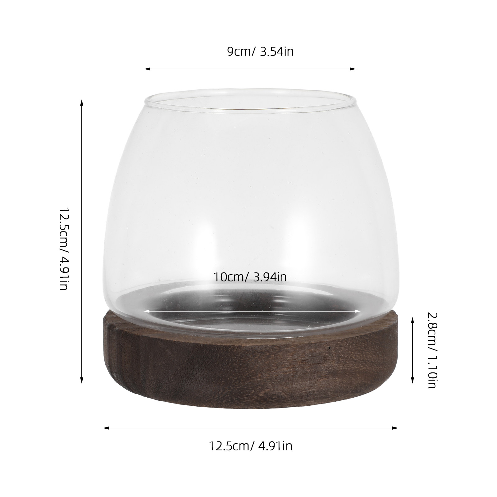 Clear Round Glass Hydroponic P - Planted Aquarium Jar บทวิจารณ์และราคา