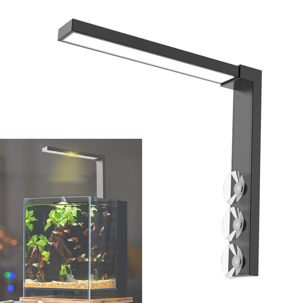 ABS Small Fish Bowl LED Light  - Planted Aquarium Bowl บทวิจารณ์และราคา