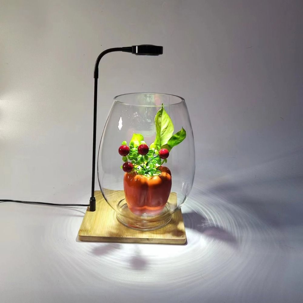 10W Aquarium Plant Fill Lamp w - Aquarium Plant On Wood บทวิจารณ์และราคา