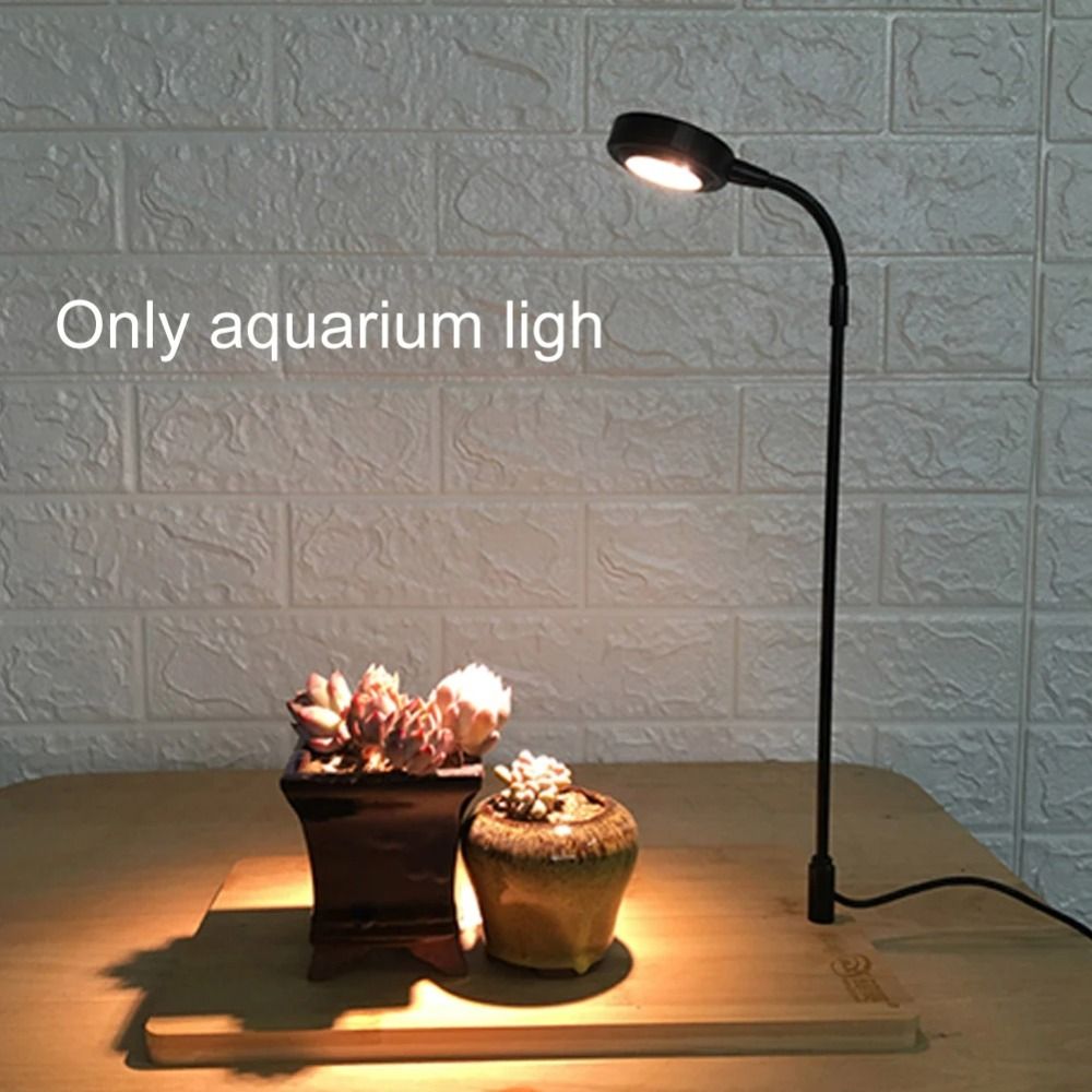 10W Aquarium Plant Fill Lamp w - Aquarium Plant On Wood บทวิจารณ์และราคา