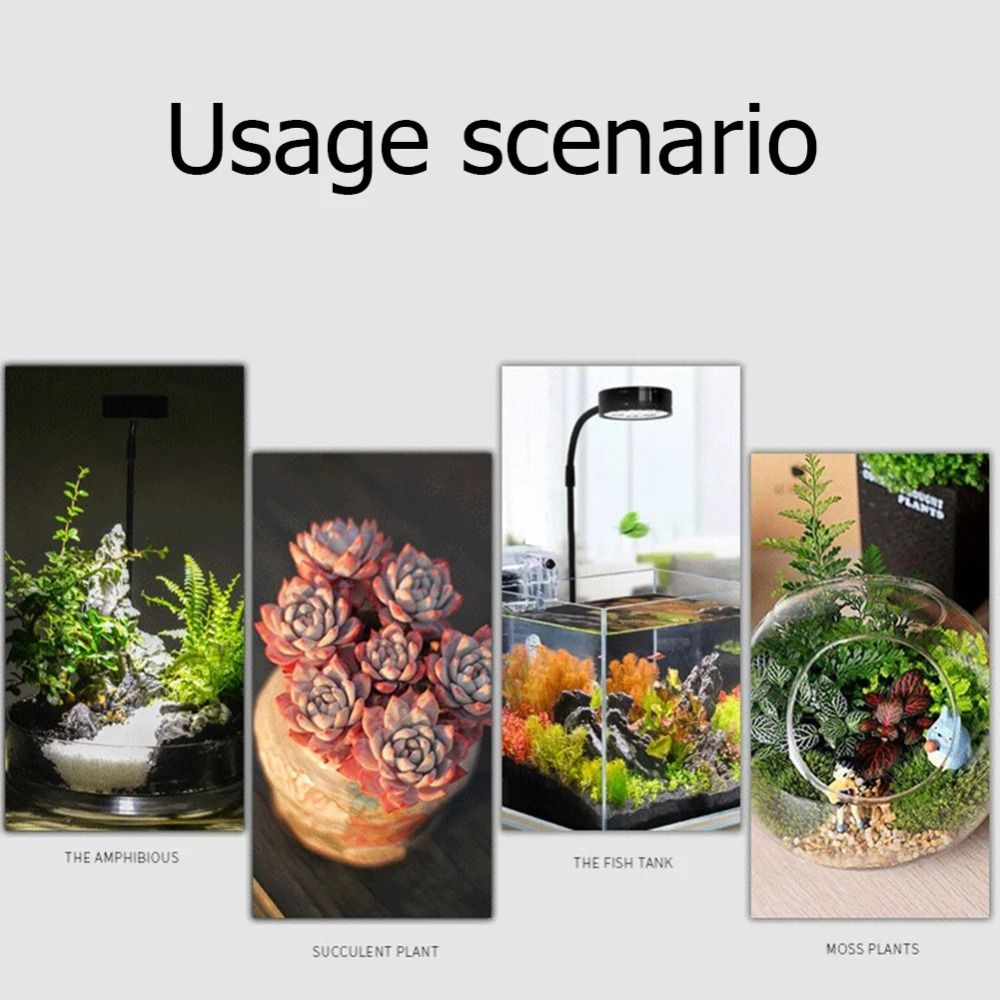 10W Aquarium Plant Fill Lamp w - Aquarium Plant On Wood บทวิจารณ์และราคา