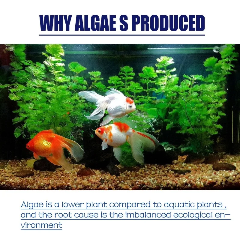 50g High Efficiency Algaecide  - Planted Aquarium Equipment บทวิจารณ์และราคา