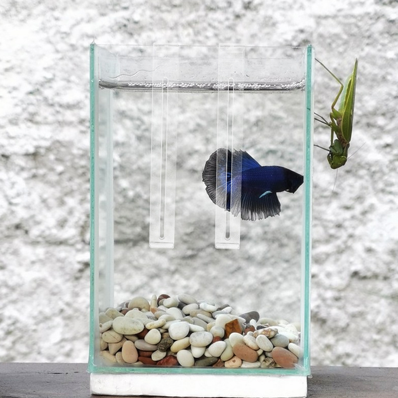 2Pcs Lightweight Sturdy Plasti - Aquarium Planted Tank Setup บทวิจารณ์และราคา