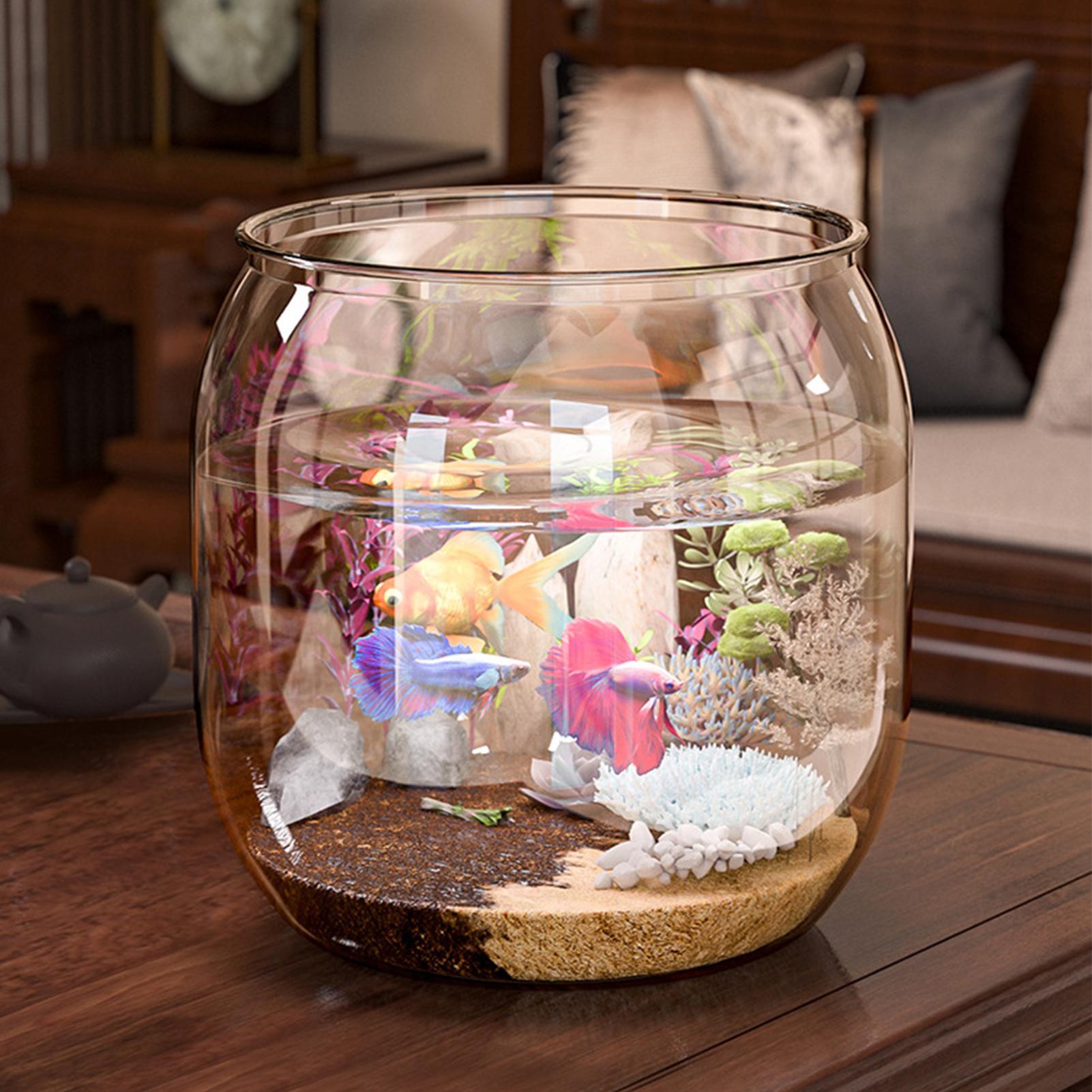 Round Fish Bowl Decorative Cle - Planted Aquarium Jar บทวิจารณ์และราคา