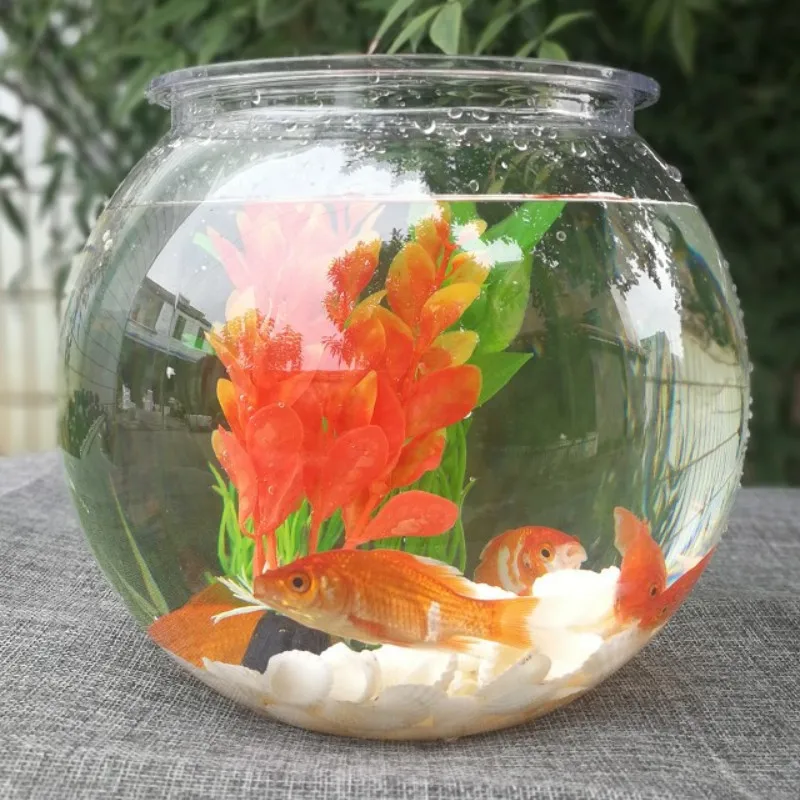 Goldfish bowl desktop transpar - Planted Aquarium Bowl บทวิจารณ์และราคา