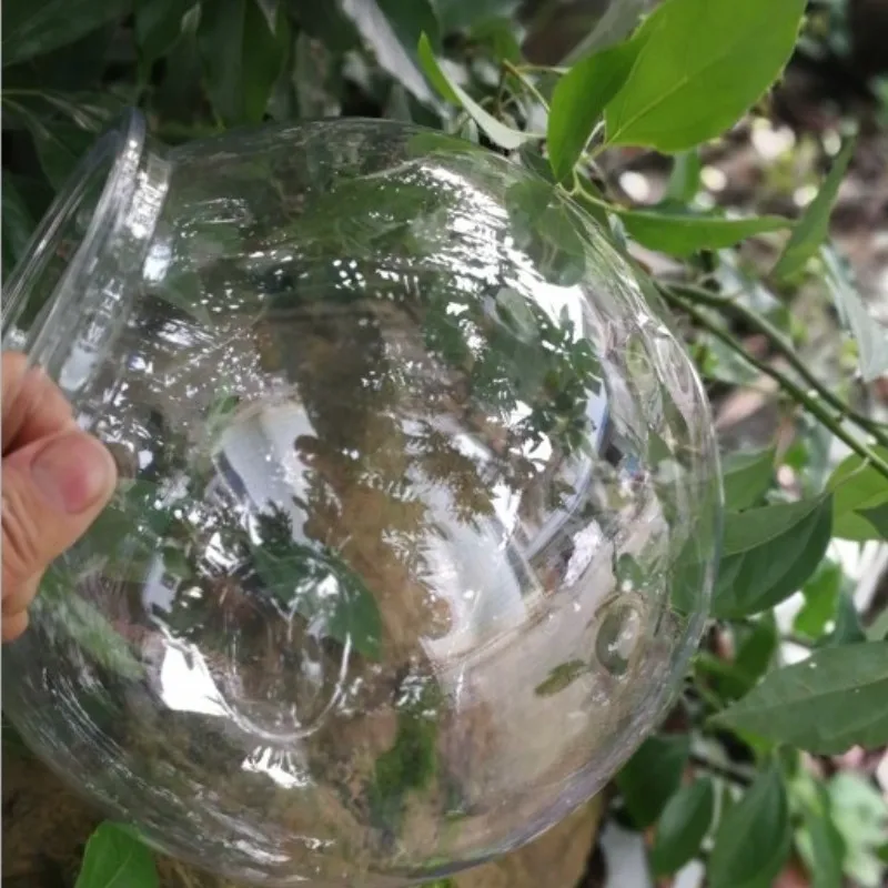 Goldfish bowl desktop transpar - Planted Aquarium Bowl บทวิจารณ์และราคา