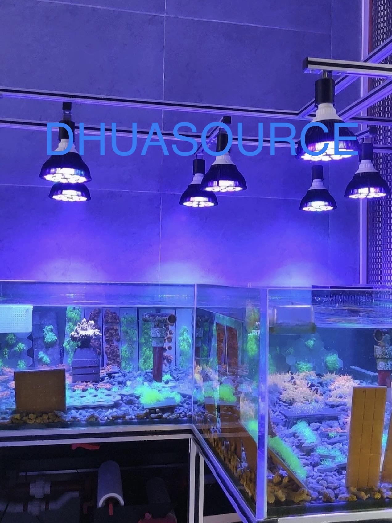 Full specturm LED Aquarium Ree - Led Planted Tank Light บทวิจารณ์และราคา