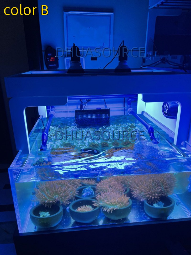 Full specturm LED Aquarium Ree - Led Planted Tank Light บทวิจารณ์และราคา