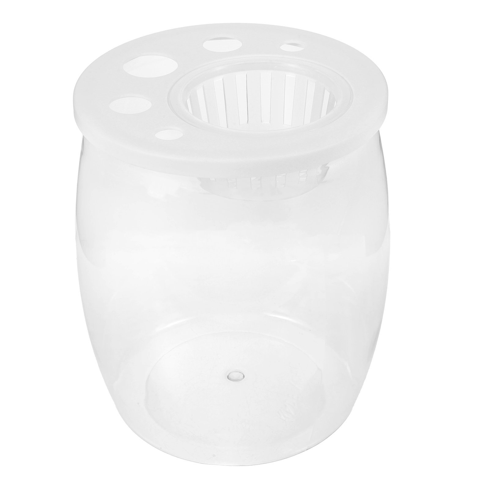 Small Transparent Hydroponic F - Aquarium Planted Tank Setup บทวิจารณ์และราคา
