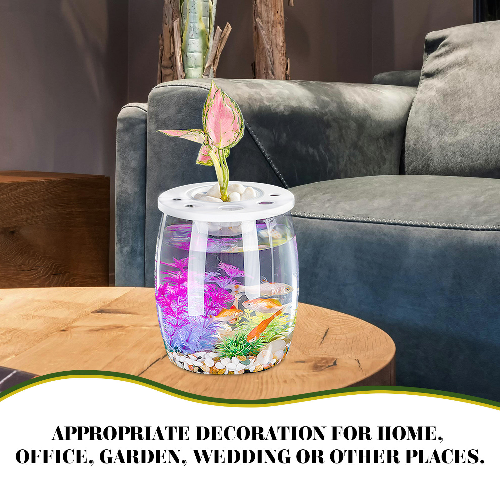 Small Transparent Hydroponic F - Aquarium Planted Tank Setup บทวิจารณ์และราคา