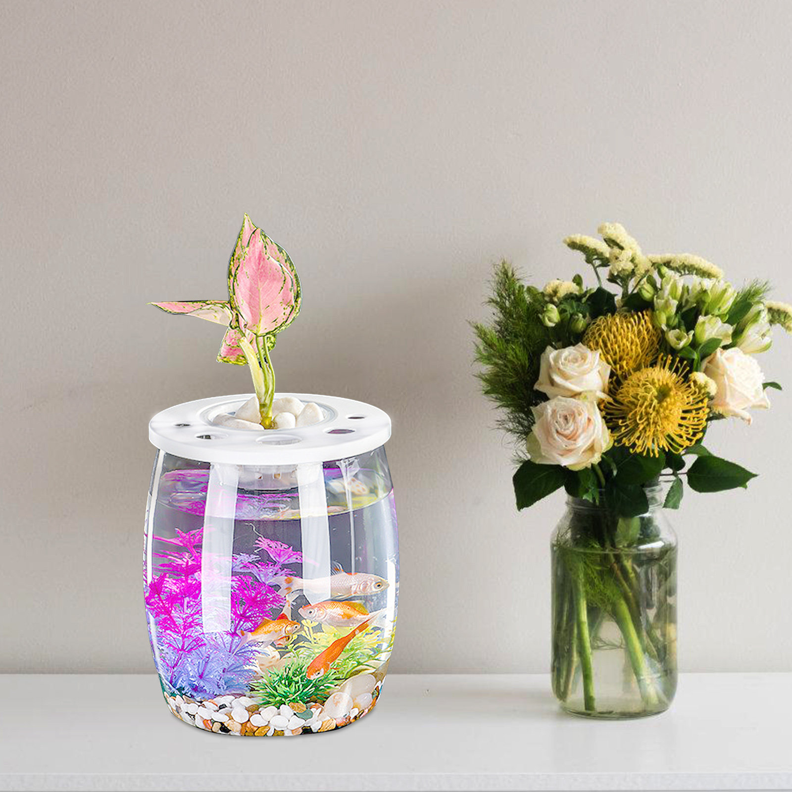 Small Transparent Hydroponic F - Aquarium Planted Tank Setup บทวิจารณ์และราคา