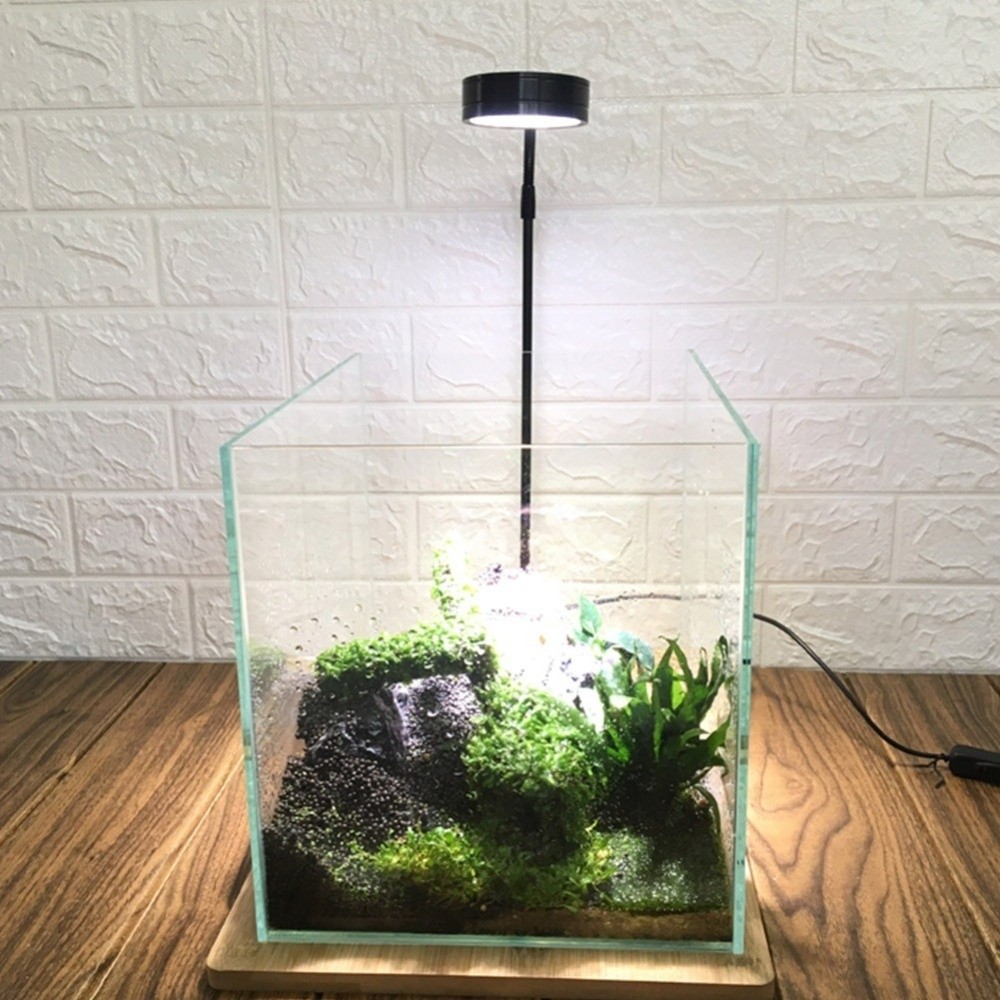 10W Fish Tank LED Lamp with Wo - Aquarium Plant On Wood บทวิจารณ์และราคา