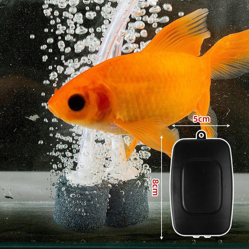 Mini Aquarium Air Pump Kit Oxy - Aquarium Lily Pipe บทวิจารณ์และราคา
