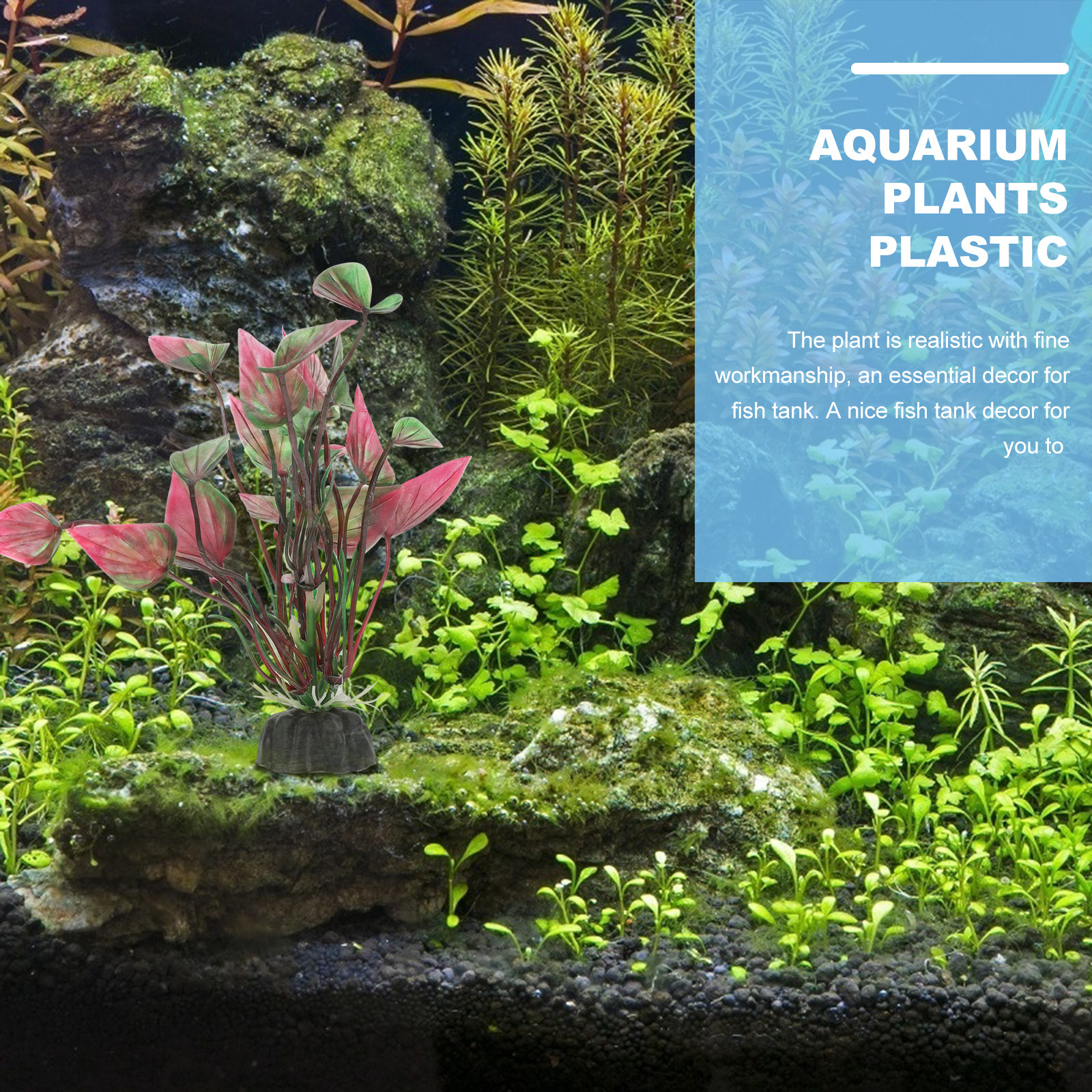 6Pcs Simulation Fish Tank Deco - Planted Aquarium Care บทวิจารณ์และราคา