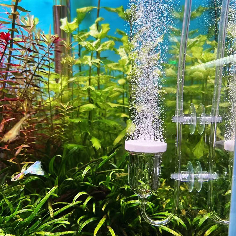 1Set Glass Air Pump Sand Stone - Aquarium Lily Pipe บทวิจารณ์และราคา