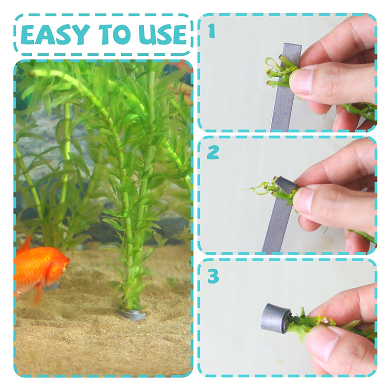 * New Sale 10pcs Flexible Fold - Aquarium Plants For Sale บทวิจารณ์และราคา