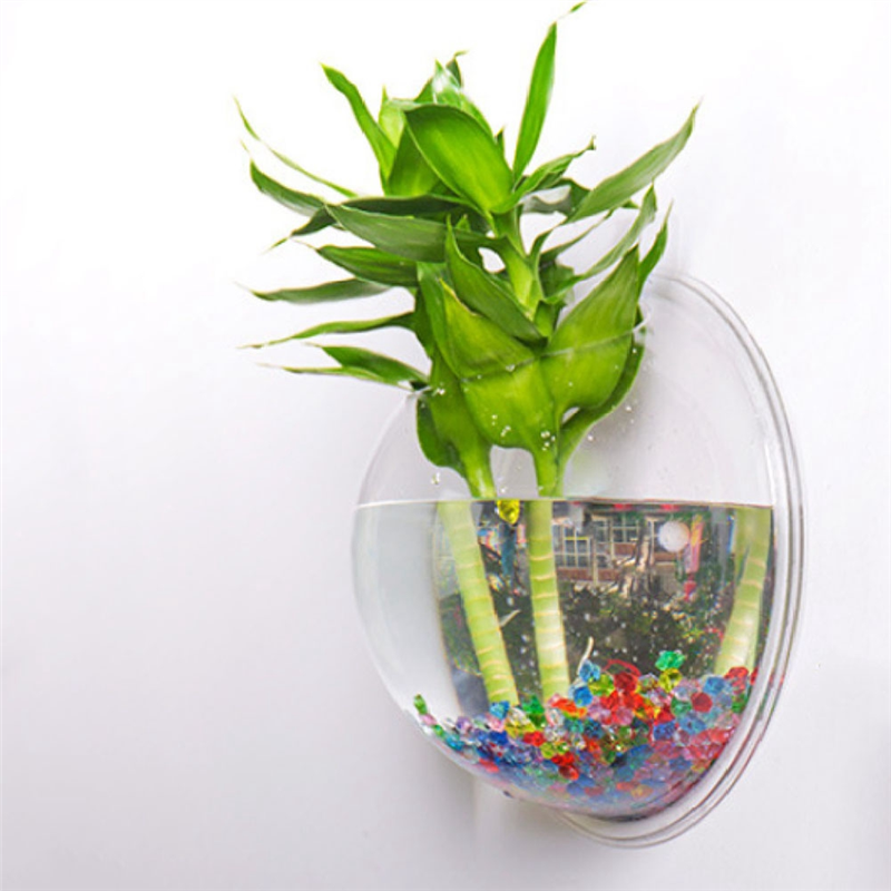A26F-Transparent Plant Pot Wal - Planted Aquarium Bowl บทวิจารณ์และราคา
