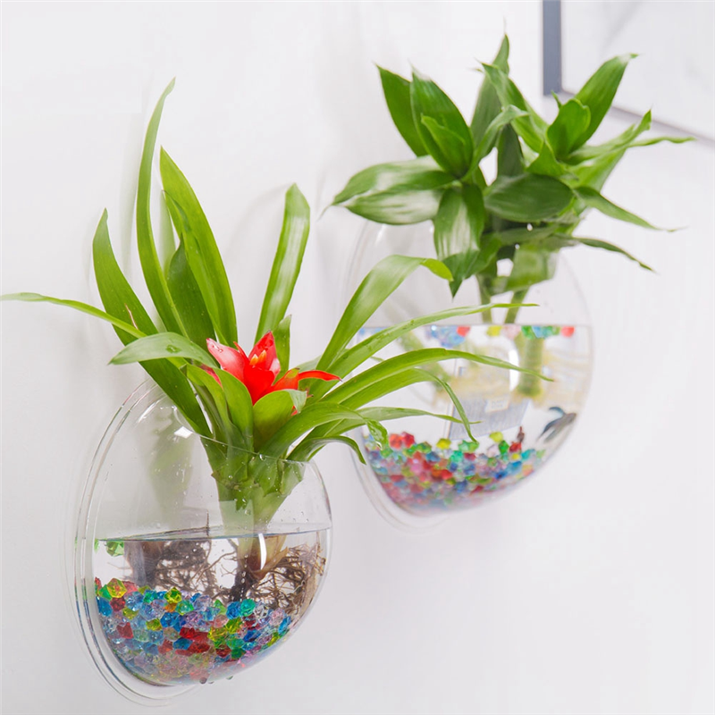 A26F-Transparent Plant Pot Wal - Planted Aquarium Bowl บทวิจารณ์และราคา