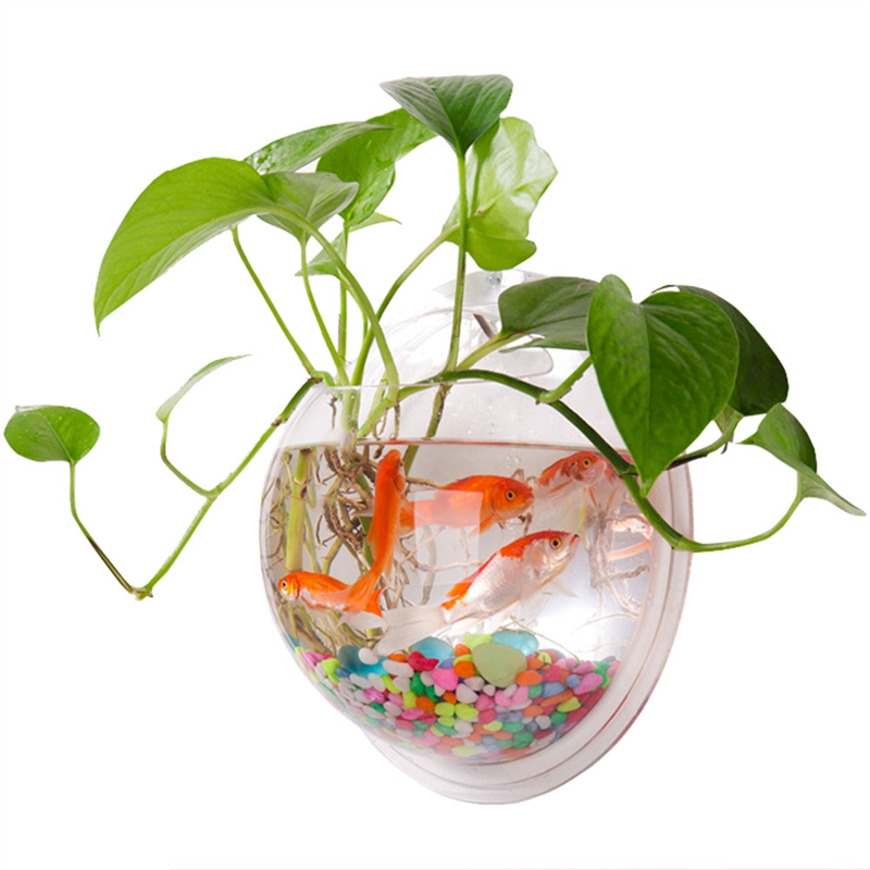 A26F-Transparent Plant Pot Wal - Planted Aquarium Bowl บทวิจารณ์และราคา