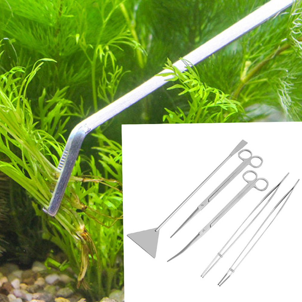 6Pcs Aquarium Tools Set Stainl - Planted Aquarium Care บทวิจารณ์และราคา