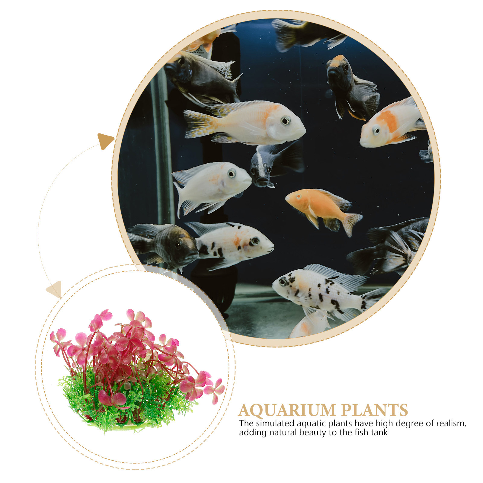 4 Leaf Clover Aquarium Decorat - Aquarium Planted Tank Setup บทวิจารณ์และราคา