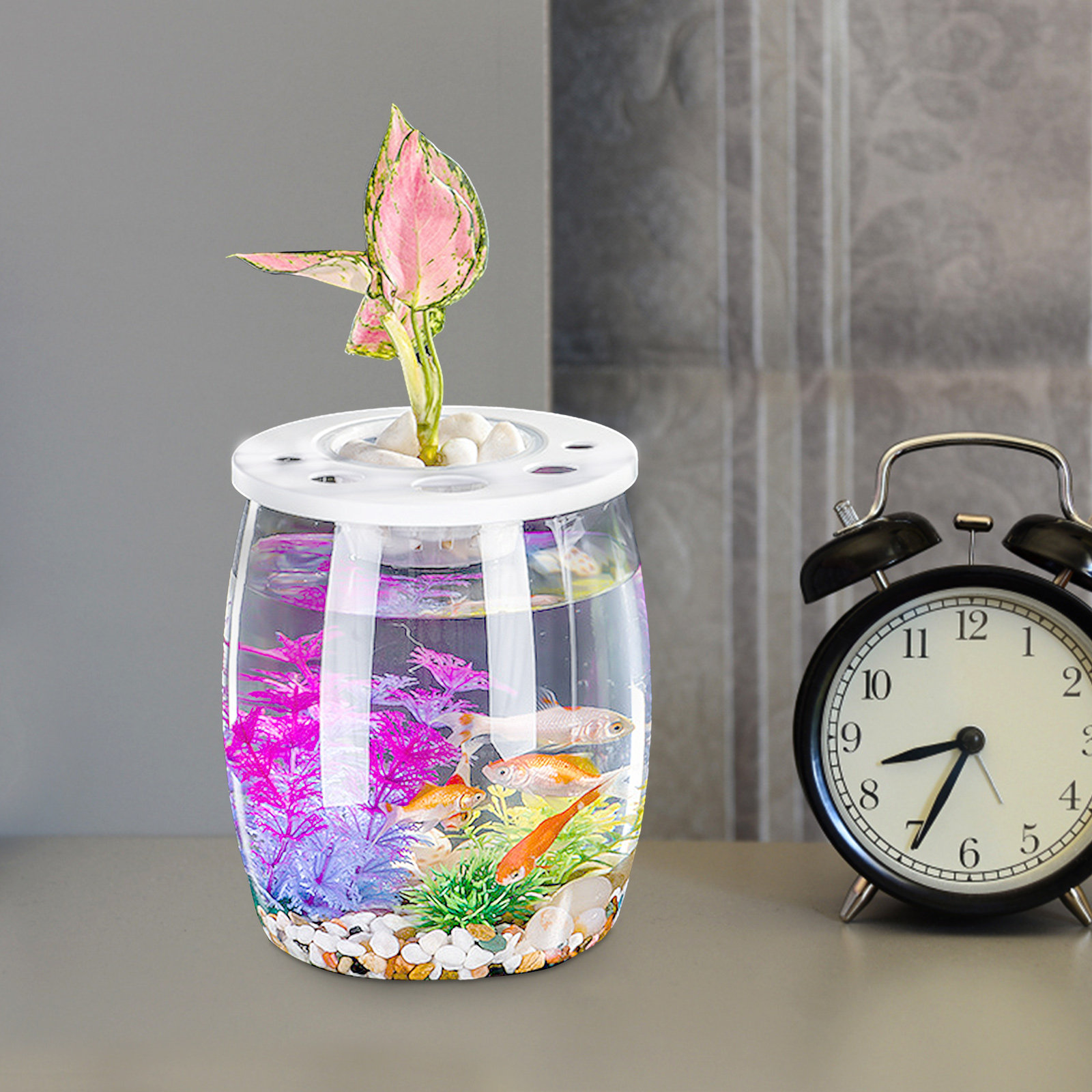 Clear Small Hydroponic Tank fo - Aquarium Planted Tank Setup บทวิจารณ์และราคา