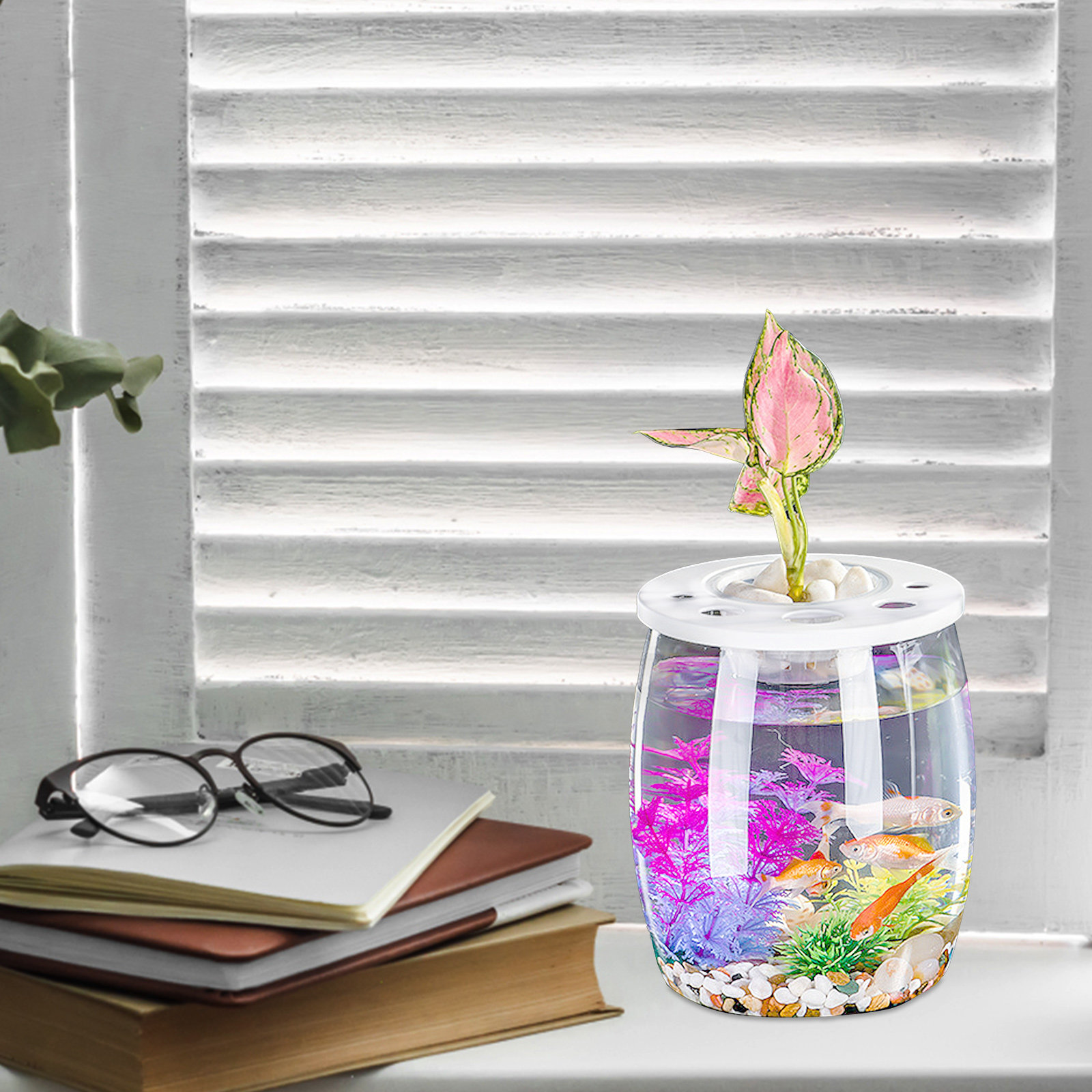 Clear Small Hydroponic Tank fo - Aquarium Planted Tank Setup บทวิจารณ์และราคา