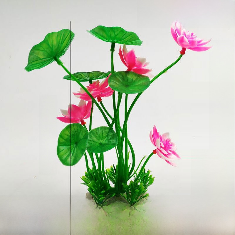 Aquarium Lacape Decoration Ro  - Planted Aquarium Bowl บทวิจารณ์และราคา