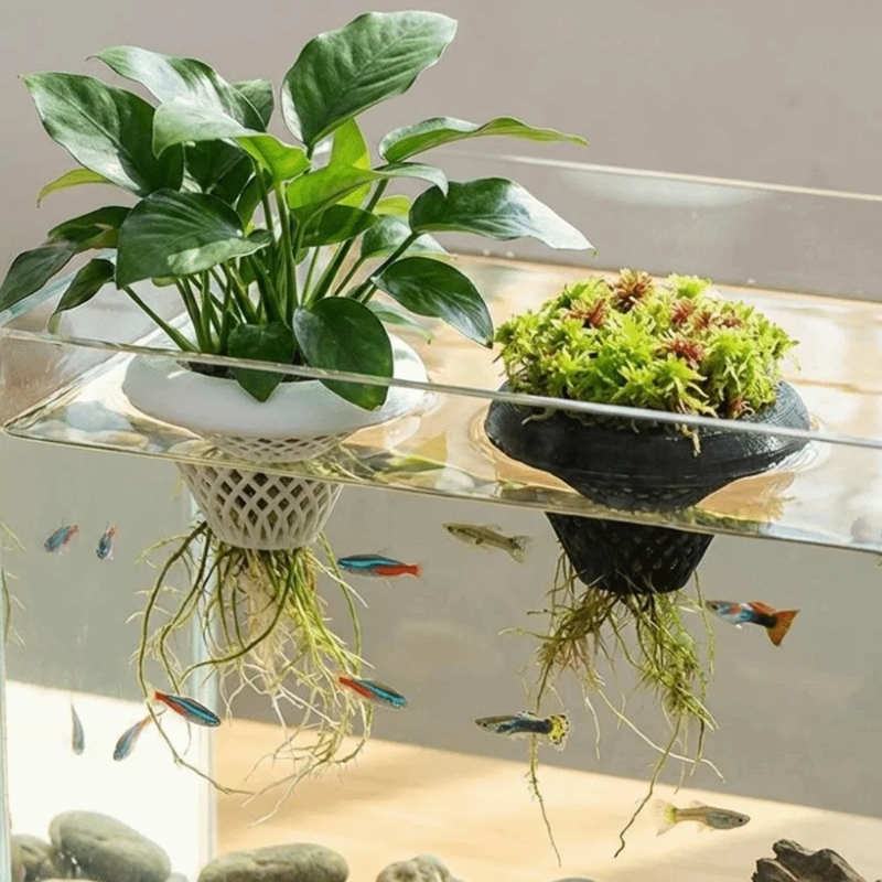Floating Aquarium Plant Pot, 3 - Planted Aquarium Jar บทวิจารณ์และราคา