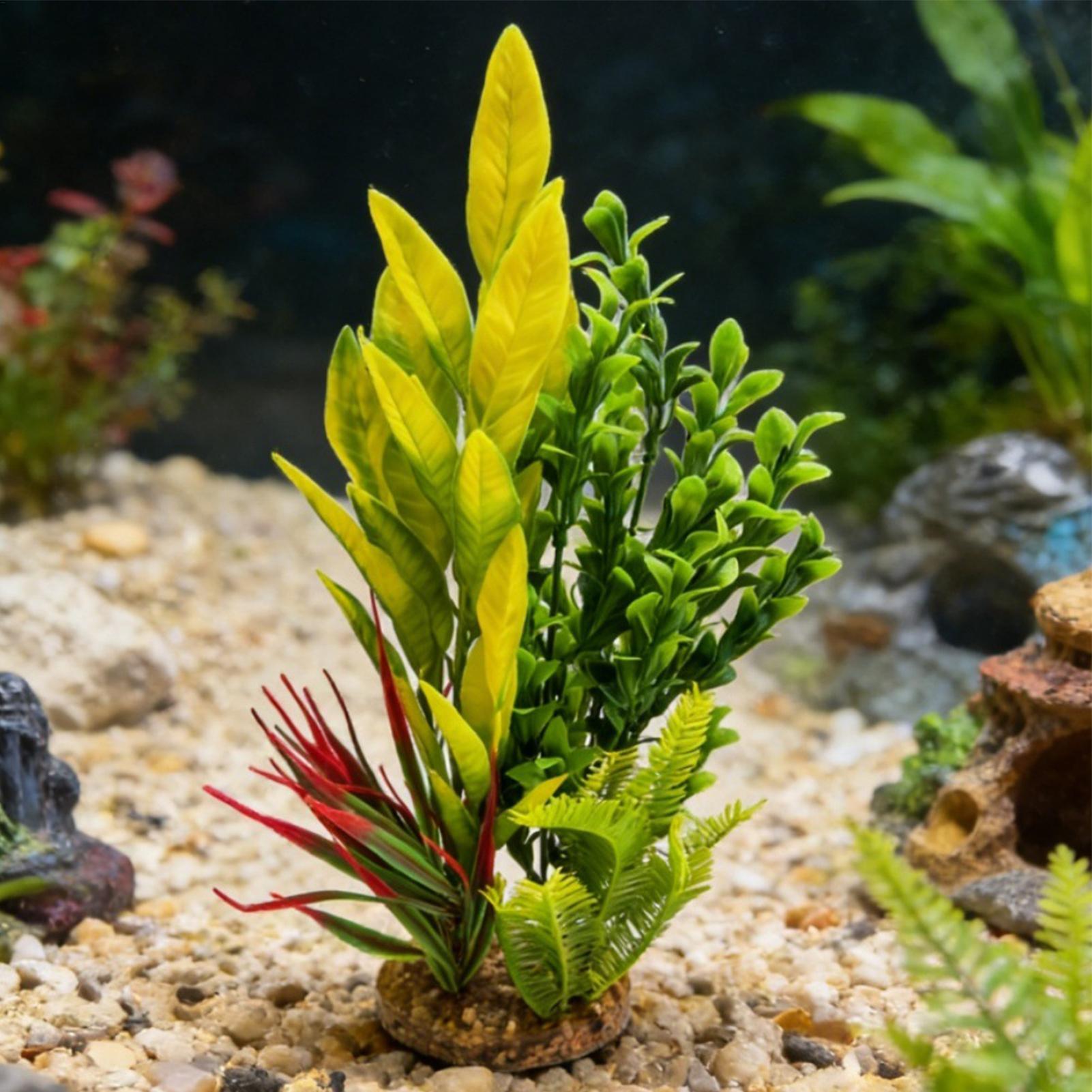 Fake Plants For Aquarium Fish  - Planted Aquarium For Beginners บทวิจารณ์และราคา