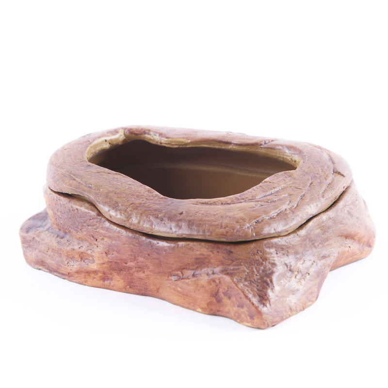 Aquarium Fish Tank Ornaments A - Planted Aquarium Bowl บทวิจารณ์และราคา