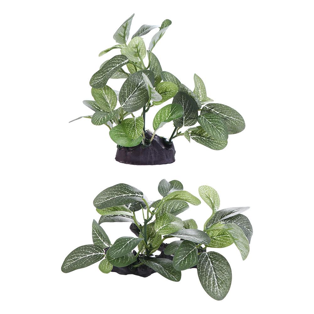 Creative Silk Realistic Green  - Planted Aquarium Jar บทวิจารณ์และราคา