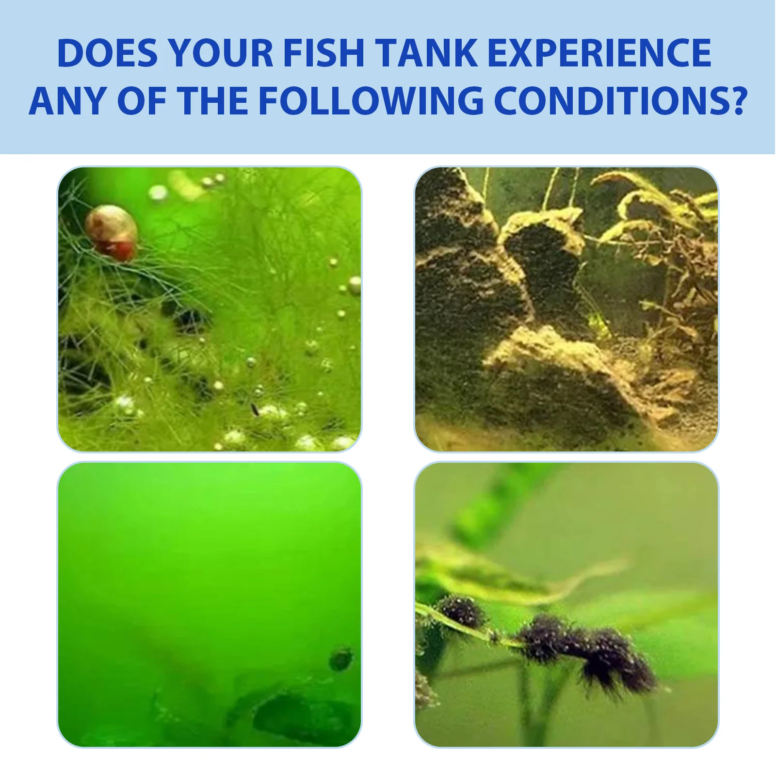 Yegbong Fish Tank Water Purifi - Planted Aquarium Fertilizer บทวิจารณ์และราคา