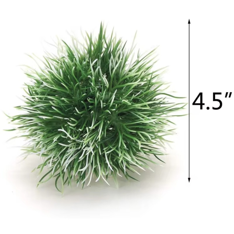 10pcs Hot Selling New Arrival  - Aquarium Plants For Sale บทวิจารณ์และราคา