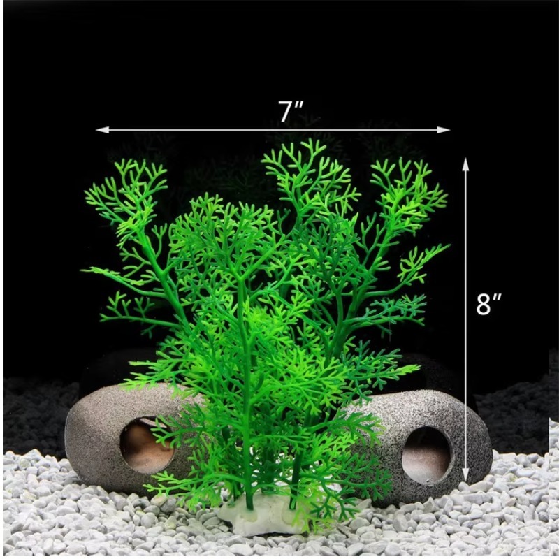 10pcs Hot Selling New Arrival  - Aquarium Plants For Sale บทวิจารณ์และราคา